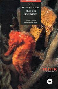 The international trade in seahorses