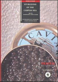 Sturgeons of the Caspian sea and the international trade in caviar