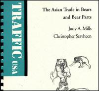 The Asian trade in bears and bear parts