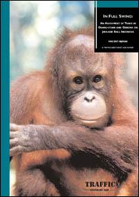 In full swing : an assessment of trade in ourang-utans and gibbons on Java and Bali, Indonesia