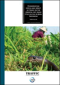 Conservation status and impact of trade on the Oriental Rat Snake Ptyas mucosa in Java, Indonesia Conservation status and impact of trade on the Oriental Rat Snake Ptyas mucosa in Java, Indonesia