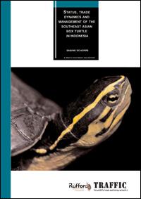 Status, trade dynamics and management of the Southeast Asian Box Turtle in Indonesia