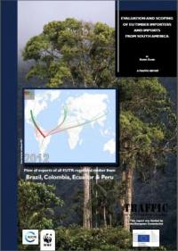 Evaluation and scoping of EU timber importers & imports from South America