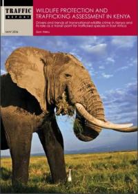 Wildlife protection and trafficking assessment in Kenya