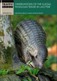 Observations of the illegal pangolin trade in Lao PDR