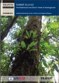 Timber island : the rosewood and ebony trade of Madagascar