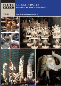 Closing strategy : ending ivory trade in Hong Kong Closing strategy : ending ivory trade in Hong Kong