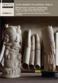 Ivory markets in Central Africa