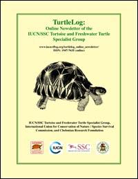 Turtlelog online newsletter