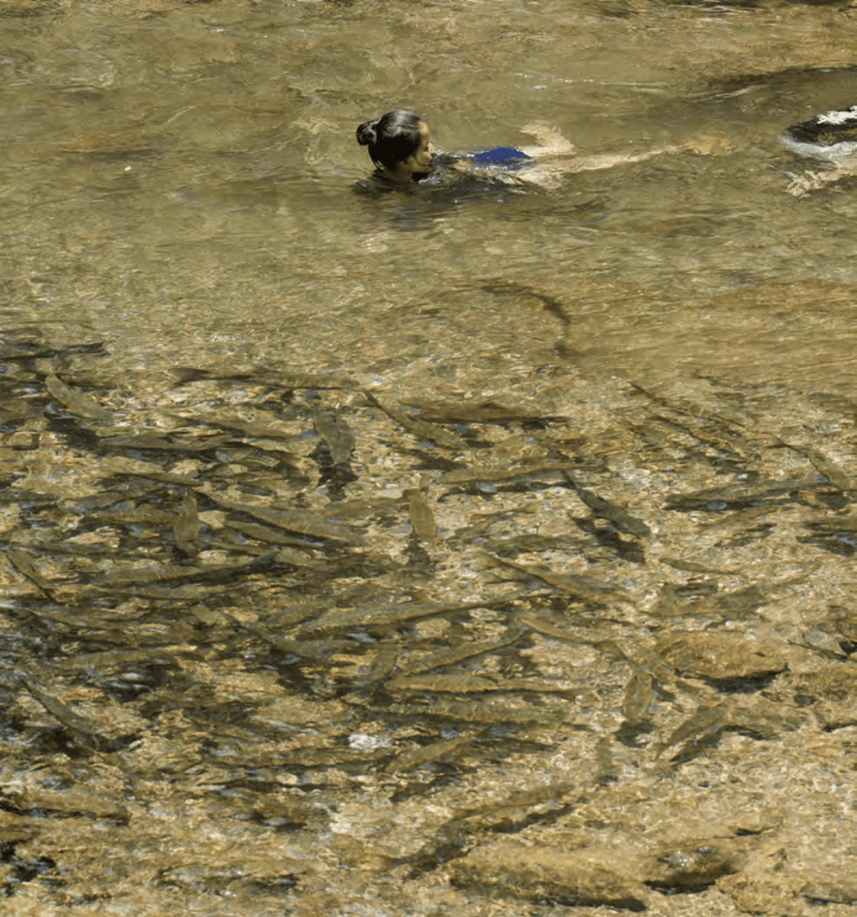 Grassroots reserves have strong benefit for river ecosystems in the Salween River Basin