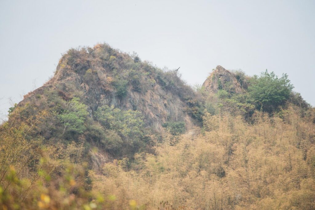 Guarding the Shallow Mountain Ecosystem through Citizen Science Investigation at Matoushan