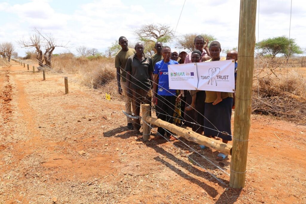 Enhancing Community Resilience against the impacts of COVID-19 in the Kamungi Conservancy, Southern Kenya