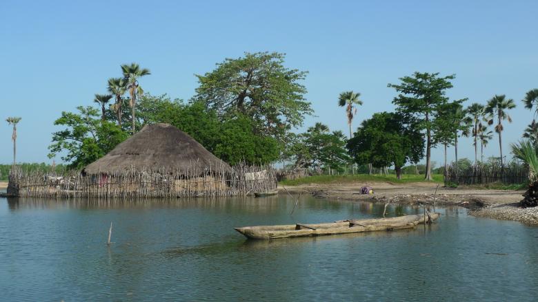 Establishing a Mangrove Restoration Strategy in Guinea-Bissau