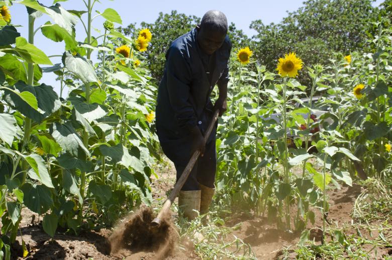 Establishing Policy and Regulatory Frameworks to Support Equitable Forest and Landscape Restoration and Sustainable Land Management in Kenya’s Tana Delta