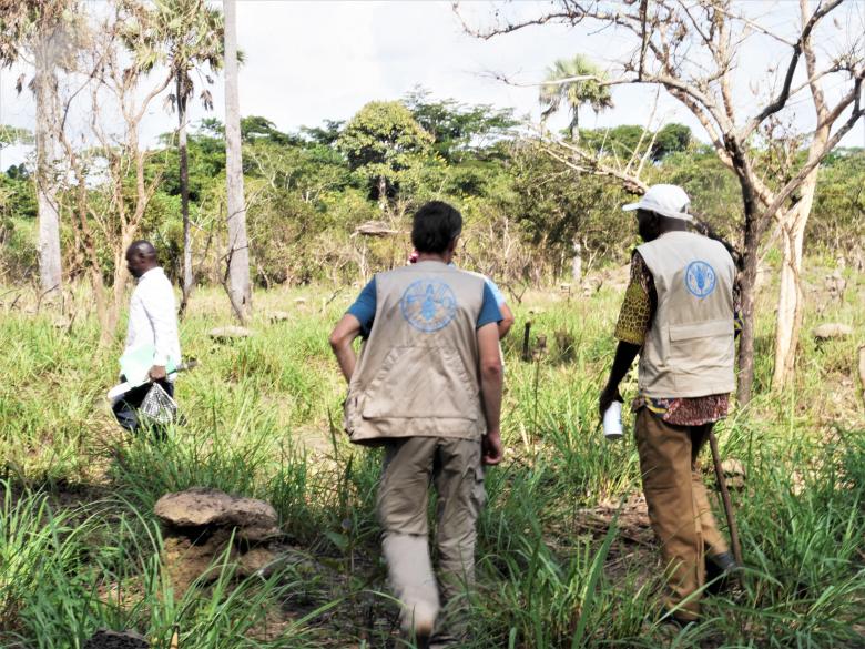 Increasing CAR's Commitment to Forest and Landscape Restoration at the National and Sub-National Levels