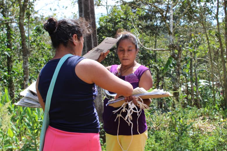 Gobernanza y herbolaria por mujeres de la Reserva de la Biosfera Selva el Ocote