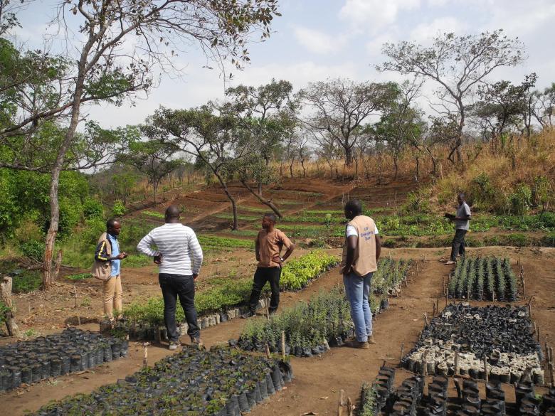 Forest Landscape Restoration and improved natural resource management of the Mogazang Community