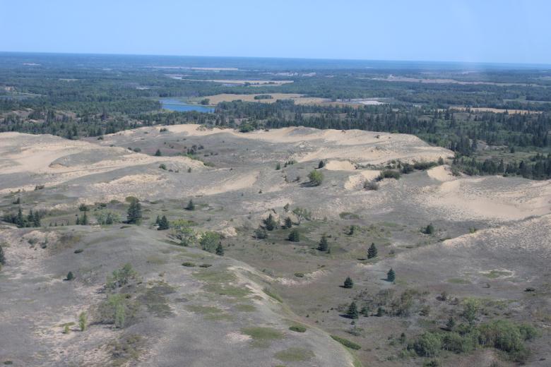 Natural areas of Canadian Forces Base Shilo recognized as an OECM