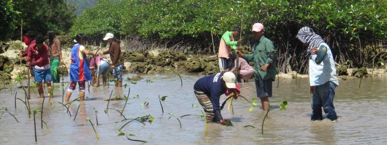 Engaging Multi-sectoral Partners for Climate Resilience