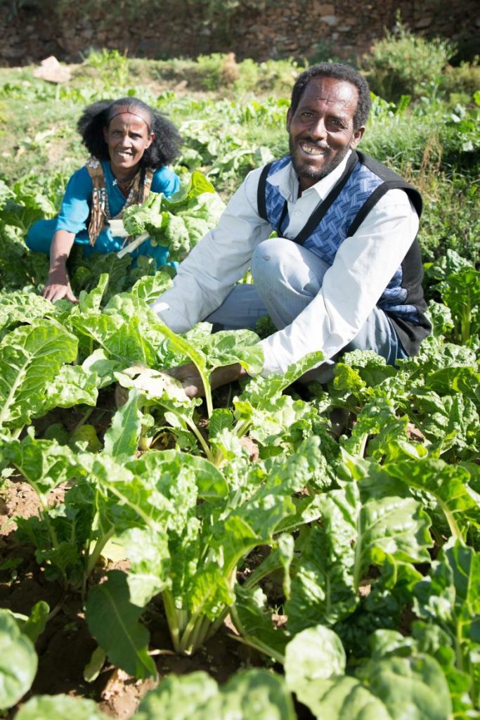 Drylands Development Programme (DryDev): Building resilient communities in dryland areas of Ethiopia through integrated landscape restoration