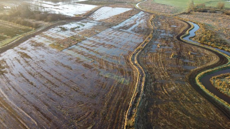 Hydrological restoration in drained fen peatlands