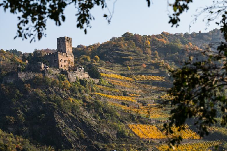 Strengthening communities and stakeholder engagement in the Upper Middle Rhine Valley through participatory governance, awareness raising and quality controls