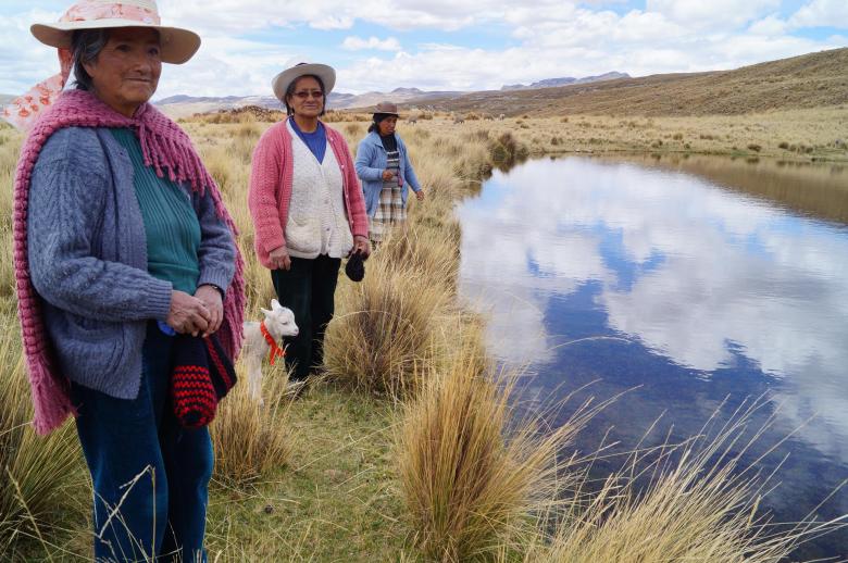 Restoring, conserving and expanding mountain pastures and wetlands and improving communal management in Canchayllo, Peru