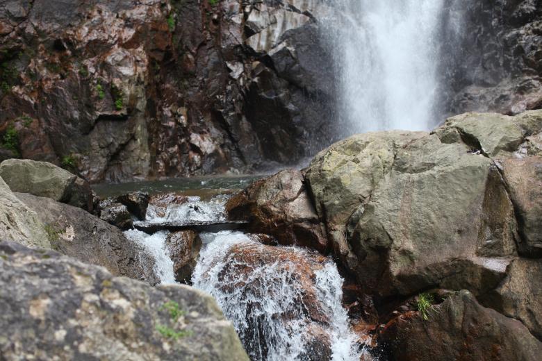 Acuerdos locales para la compensación por servicios ecosistémicos del bosque en la Región Trifinio