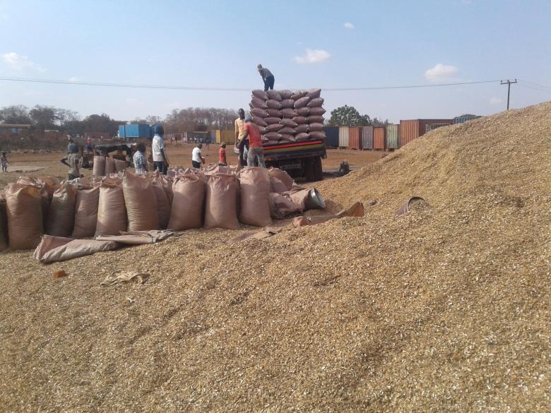 Transforming low income earning Malawian households from use of forest wood charcoal to use of charcoal briquettes in order to preserve the natural animal habitats and ecosystem