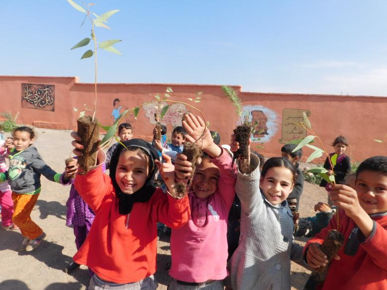 Restoring Morocco's Biodiversity through Agroforestry