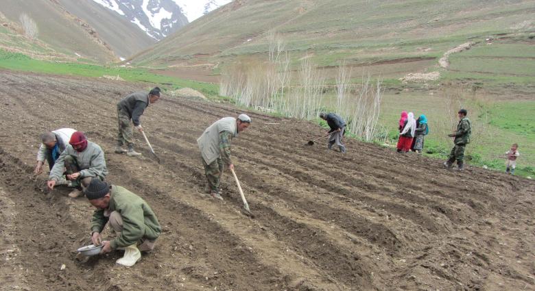 Applying Ecosystem-based Disaster Risk Reduction (Eco-DRR) for the sustainable and resilient development planning in the Koh-e Baba mountains, Afghanistan