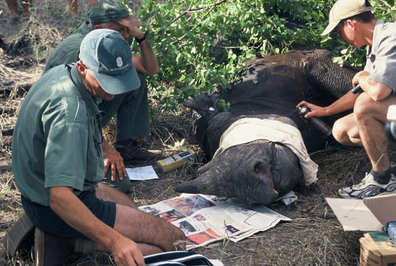 Crime scene preservation training for rangers as anti-poaching measure