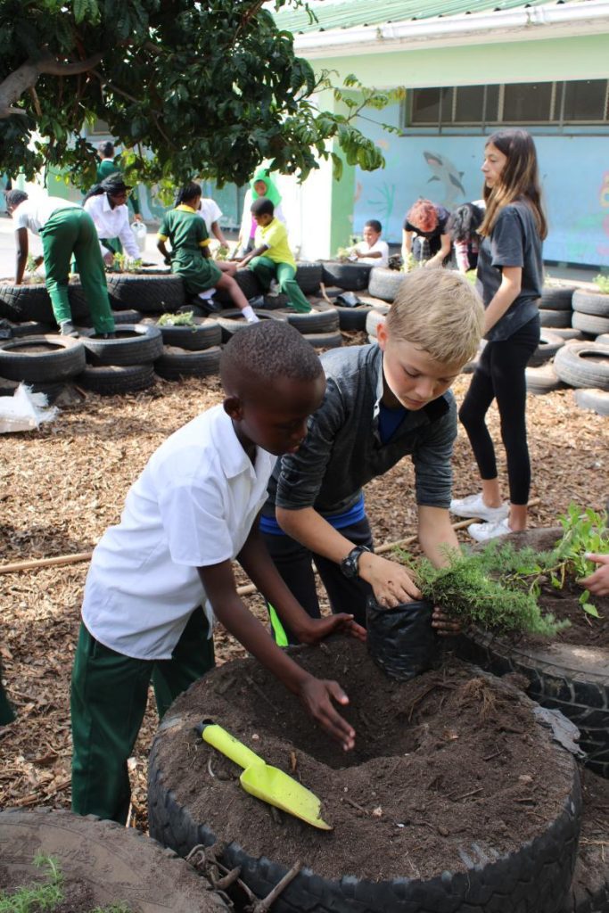 Fynbos for the Future