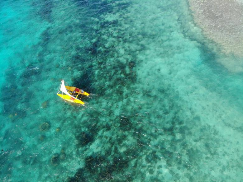 Transitioning to Low Carbon Sea Transport in the Marshall Islands