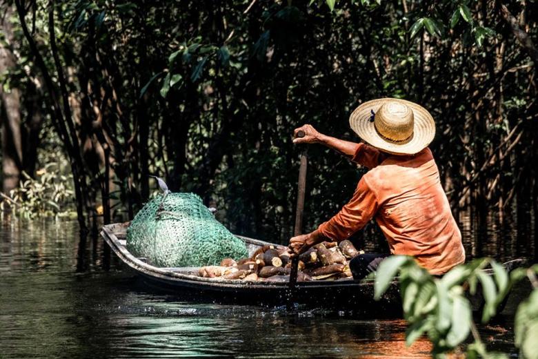 Mamirauá Reserve for Sustainable Development  - Working with Indigenous communities in the Amazon