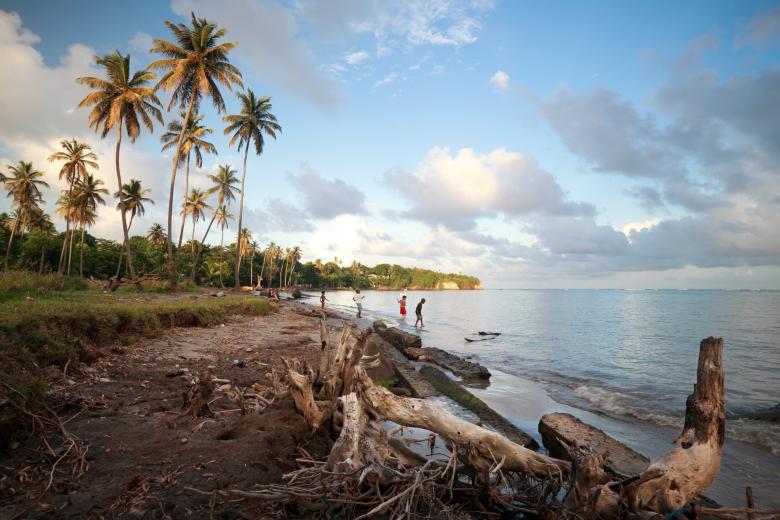 At the water’s edge: Enhancing coastal resilience in Grenada