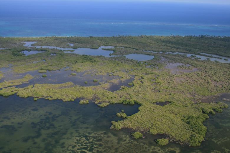 Restoration of mangroves in the Sian Ka‘an biosphere reserve