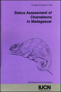 Status assessment of chameleons in Madagascar