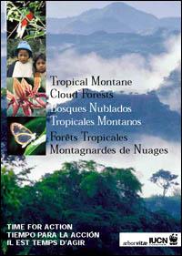 Tropical montane cloud forests : time for action