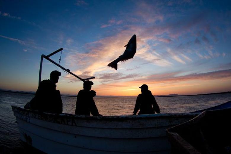 Catch Shares: A framework for sustainable fisheries