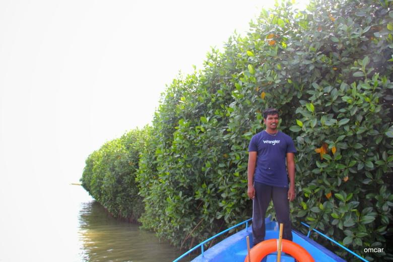 Mangrove Restoration for Sustainable Fishery in Palk Bay, India