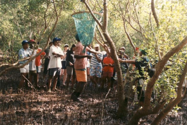 Blue carbon credits financing community-based mangrove management