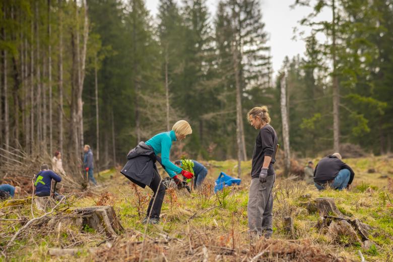 Olympic Forests Network – framework for nature restoration supported by the International Olympic Committee