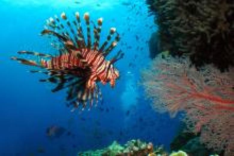 The Great Barrier Reef Strategic Assessment The Great Barrier Reef Strategic Assessment