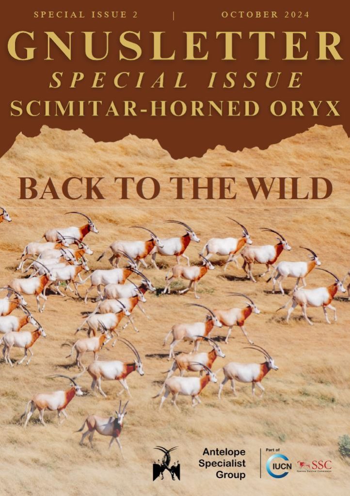 Scimitar-horned Oryx: Back to the Wild - IUCN SSC Antelope Specialist Group Newsletter