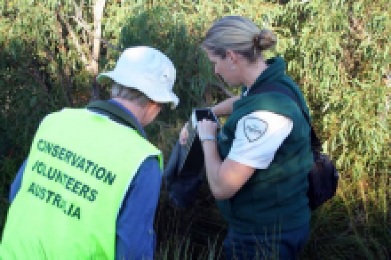 Cross sector partnerships enhancing community volunteering in nature