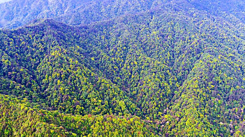 Guarding the window of the subtropical evergreen broad-leaved forest: the vivid practice of biodiversity conservation in Qianjiangyuan National Park, China Guarding the window of the subtropical evergreen broad-leaved forest: the vivid practice of biodiversity conservation in Qianjiangyuan National Park, China
