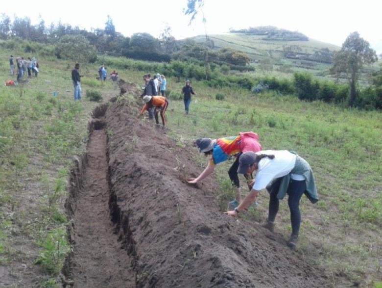 Promotion of threatened, high value indigenous trees of Tanzania through agroforestry Promotion of threatened, high value indigenous trees of Tanzania through agroforestry