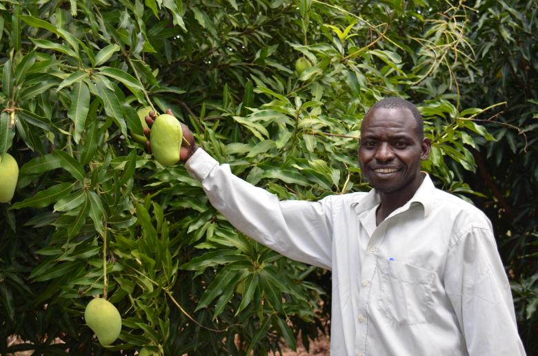 Using a participatory and experiential learning approach to incentivize and increase the adoption of Ecosystem-based Adaptation (EbA) measures in Eastern Uganda