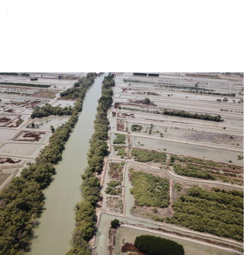 Associated Mangrove Aquaculture